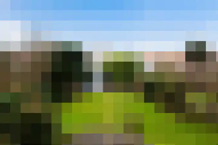 Veenendaalkade 495 Den Haag thumbnail 29