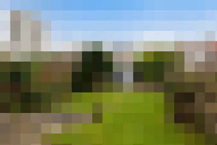 Veenendaalkade 495 Den Haag thumbnail 30