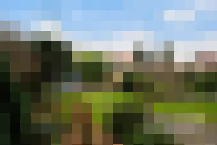 Veenendaalkade 495 Den Haag thumbnail 31