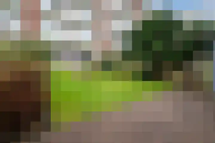 Veenendaalkade 495 Den Haag thumbnail 34