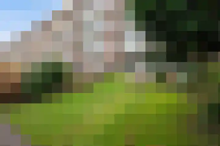 Veenendaalkade 495 Den Haag thumbnail 35