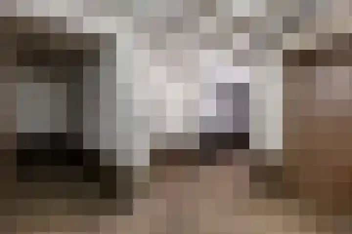 Veenendaalkade 495 Den Haag thumbnail 37
