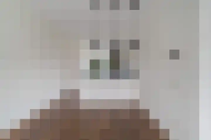 Veenendaalkade 495 Den Haag thumbnail 7