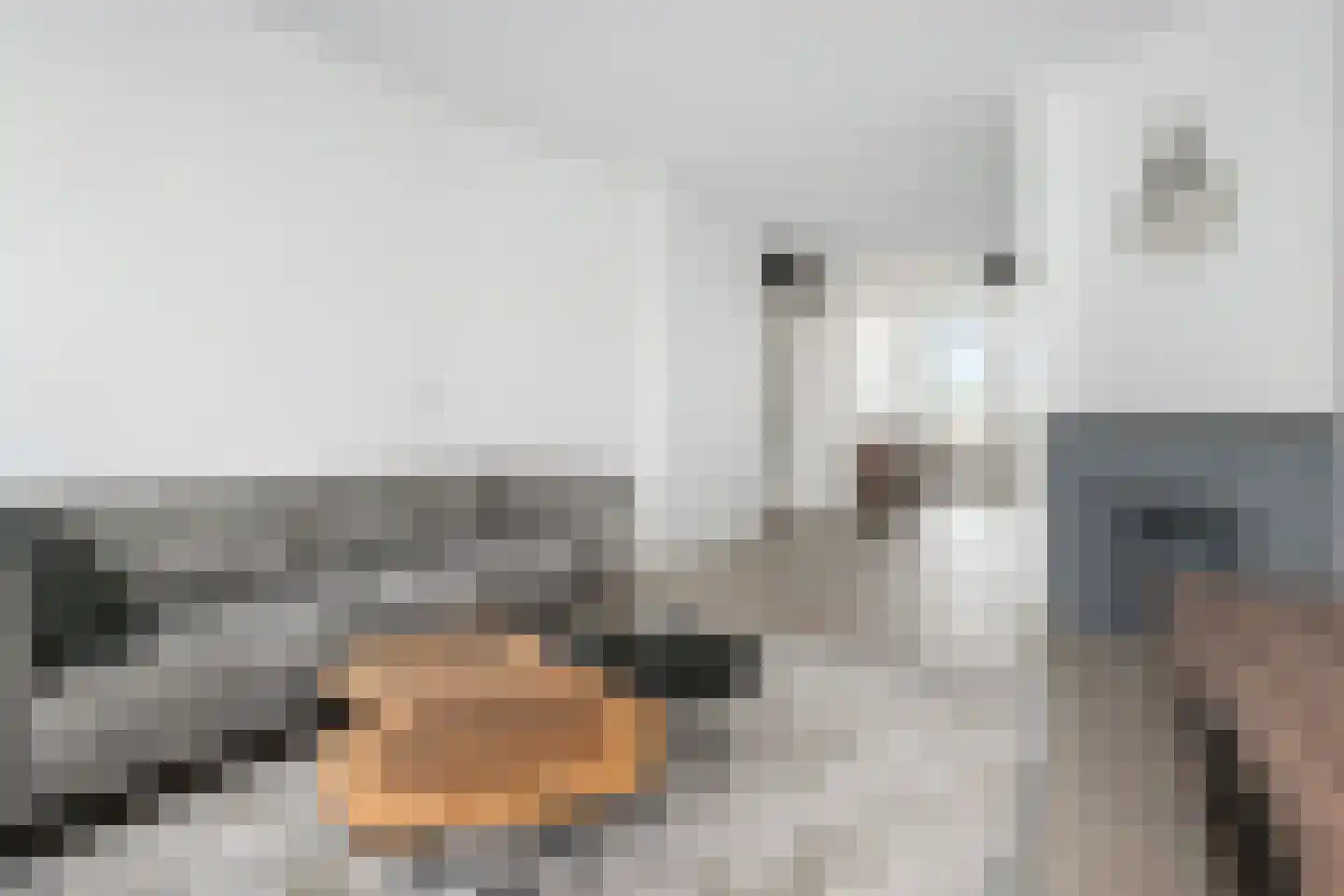 Veenendaalkade 506 Den Haag thumbnail 10