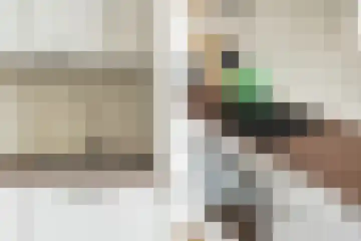 Veenendaalkade 509 Den Haag thumbnail 10