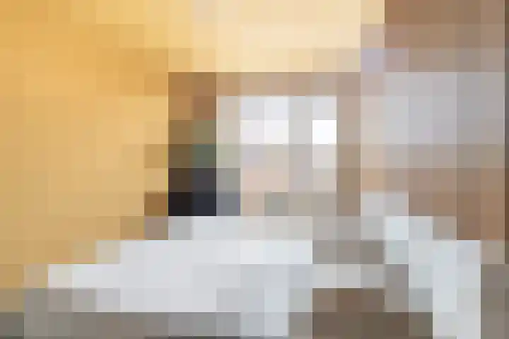 Veenendaalkade 509 Den Haag thumbnail 12