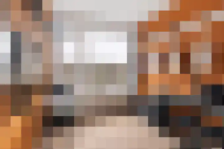 Veenendaalkade 509 Den Haag thumbnail 16