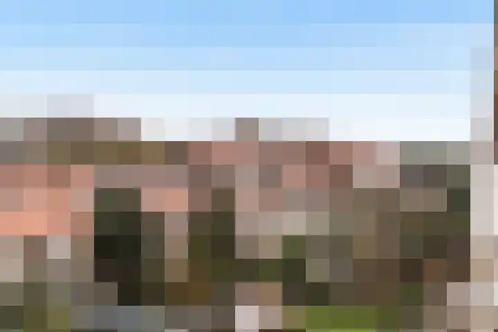Veenendaalkade 509 Den Haag thumbnail 22