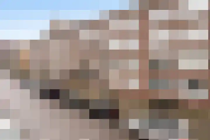 Veenendaalkade 509 Den Haag thumbnail 23