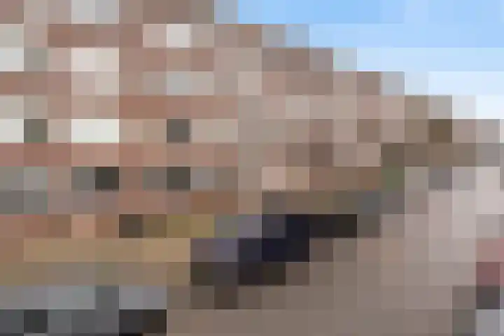 Veenendaalkade 509 Den Haag thumbnail 24