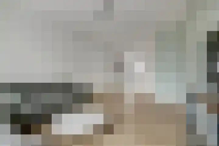 Veenendaalkade 535 Den Haag thumbnail 11