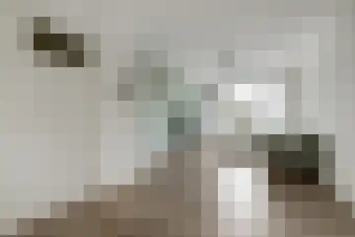 Veenendaalkade 535 Den Haag thumbnail 12