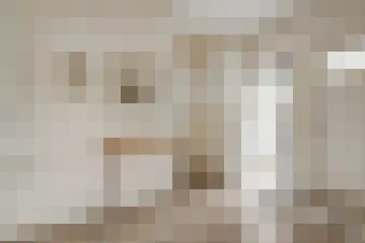 Veenendaalkade 535 Den Haag thumbnail 20