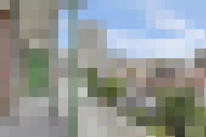 Veenendaalkade 535 Den Haag thumbnail 26