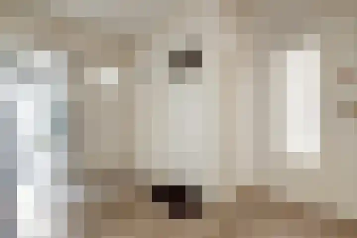 Veenendaalkade 535 Den Haag thumbnail 8