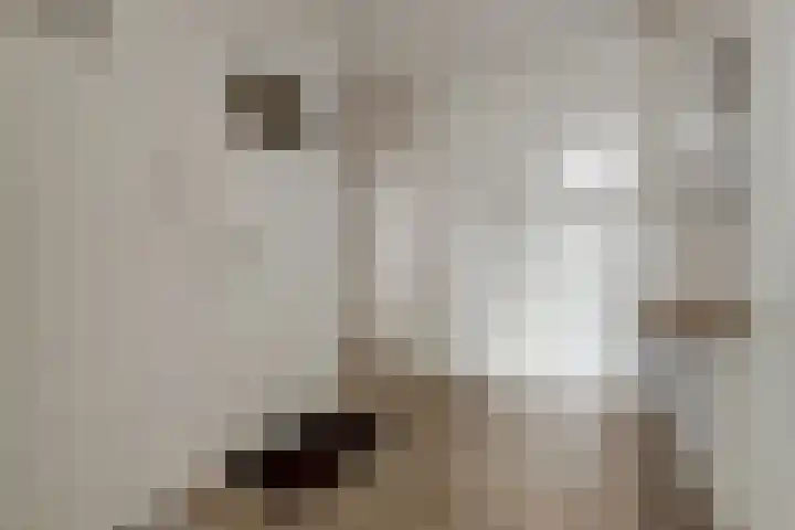 Veenendaalkade 535 Den Haag thumbnail 9
