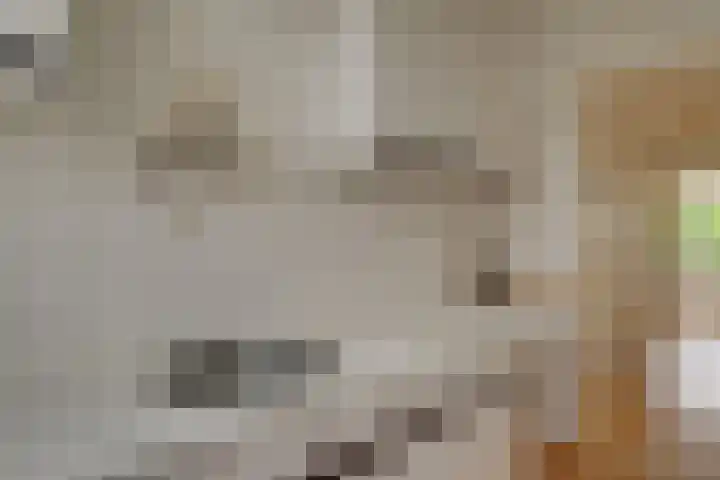 Veenendaalkade 586 Den Haag thumbnail 18