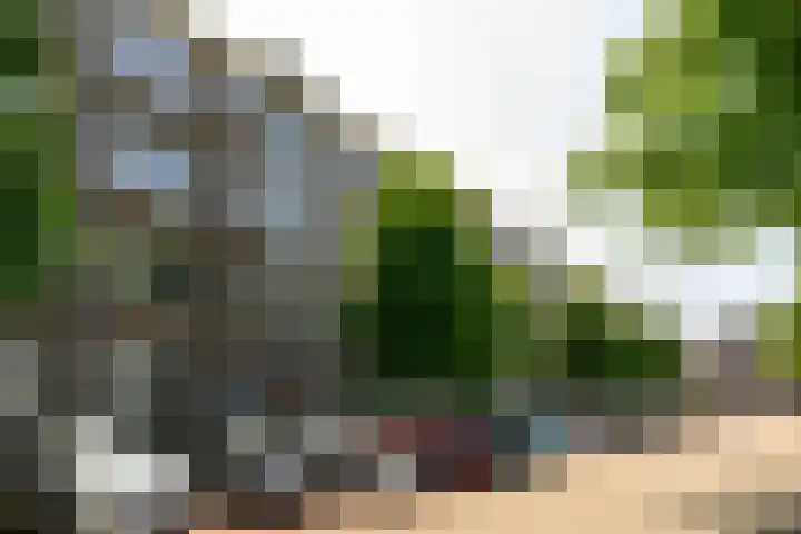 Veenendaalkade 586 Den Haag thumbnail 23