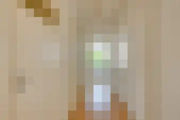 Veenendaalkade 586 Den Haag thumbnail 8