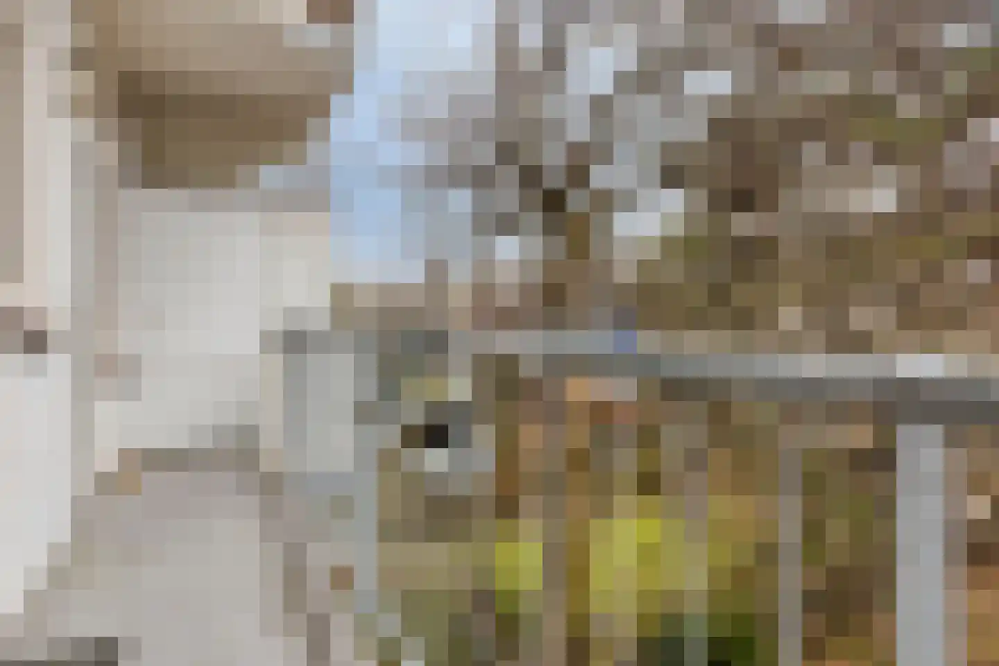 Veenendaalkade 592 Den Haag thumbnail 16
