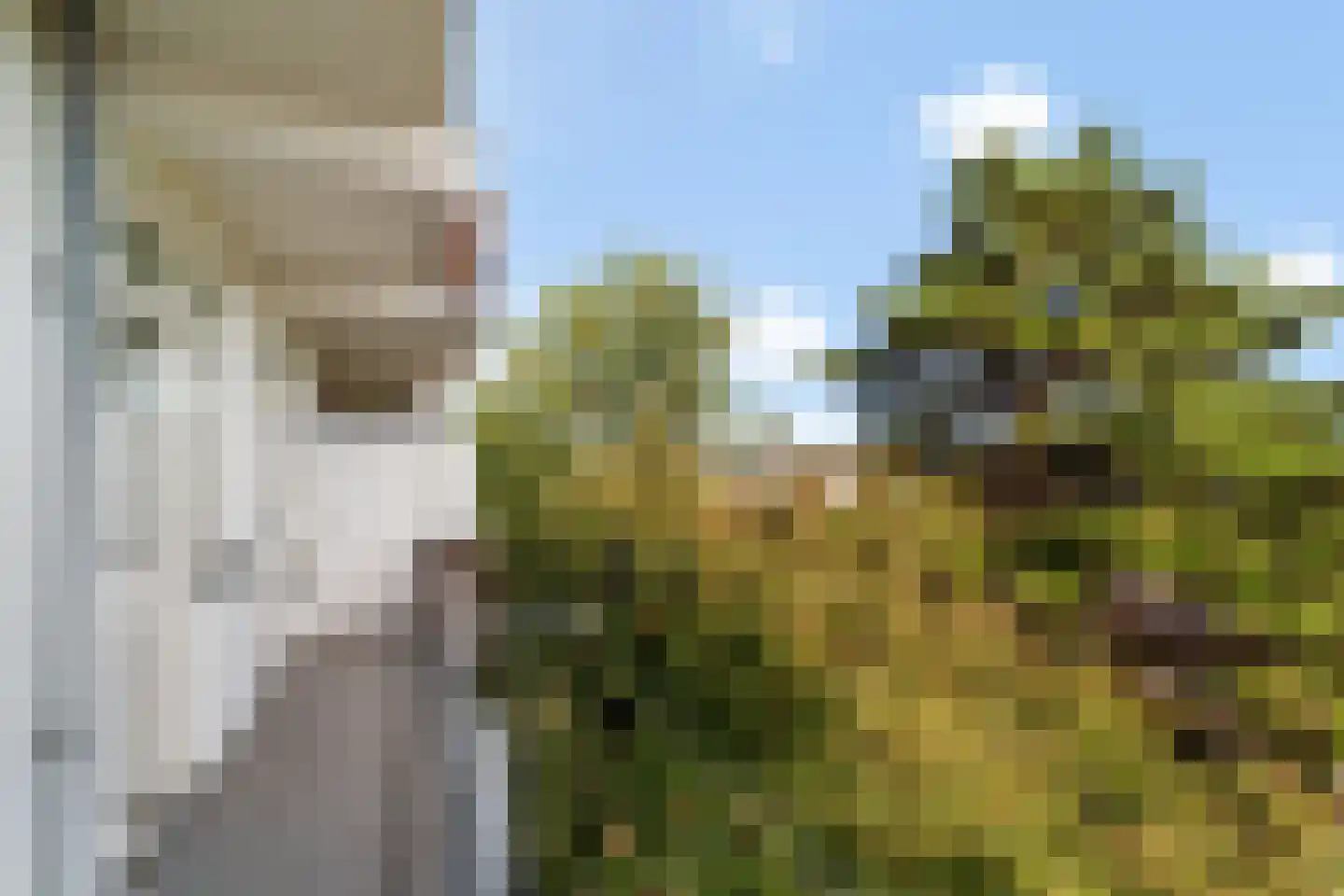 Veenendaalkade 594 Den Haag thumbnail 17