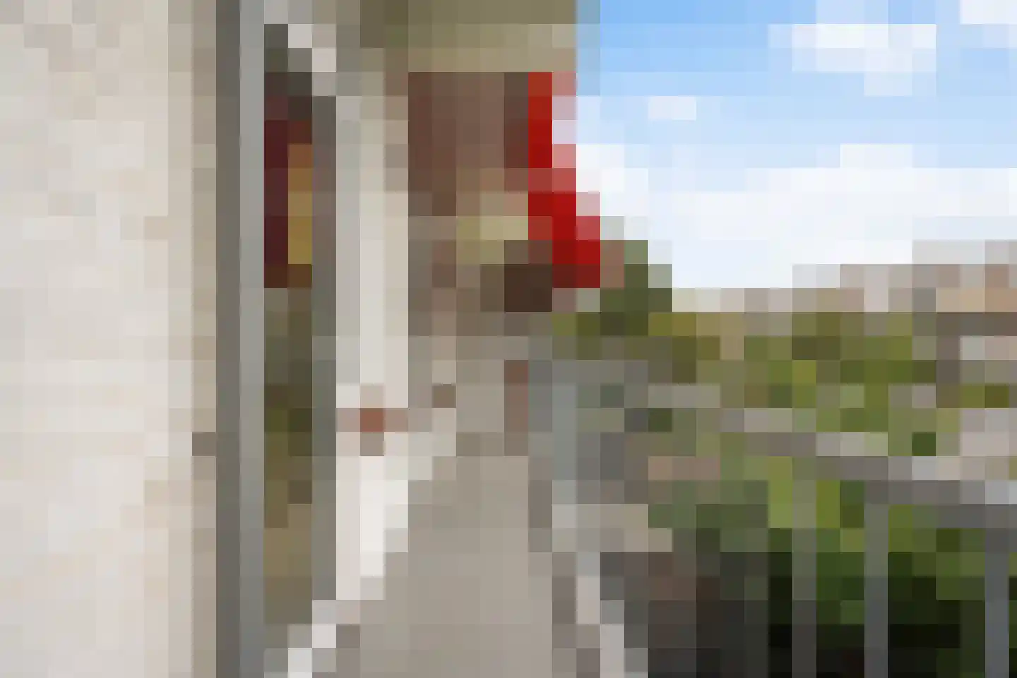 Veenendaalkade 636 Den Haag thumbnail 24