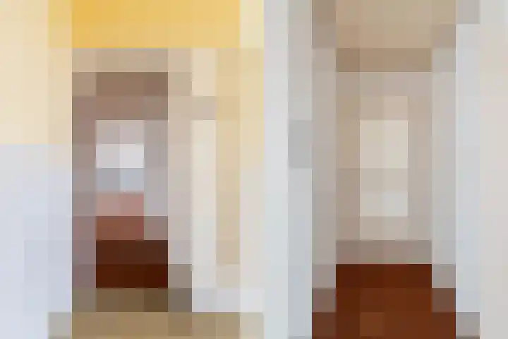 Veenendaalkade 74 Den Haag thumbnail 27