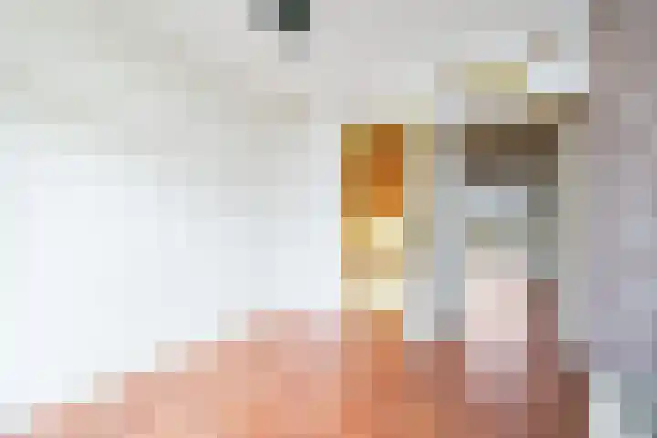 Veenendaalkade 77 Den Haag thumbnail 23