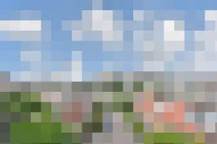 Veenendaalkade 95 Den Haag thumbnail 21