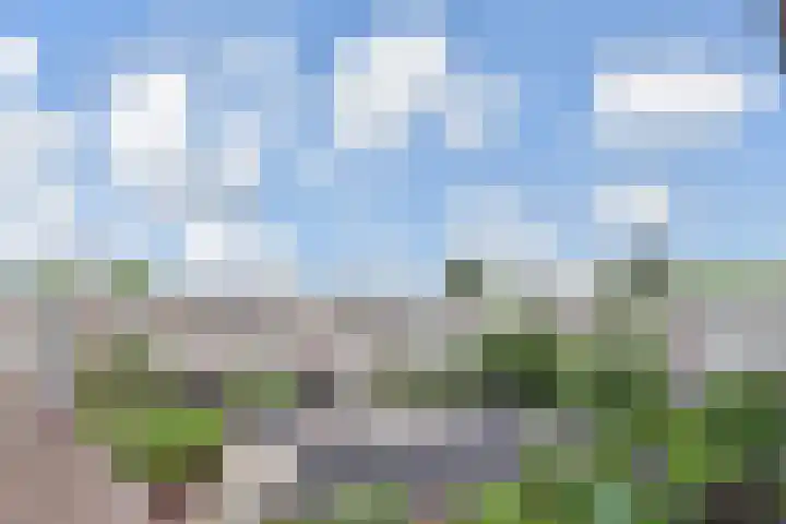 Veenendaalkade 95 Den Haag thumbnail 22