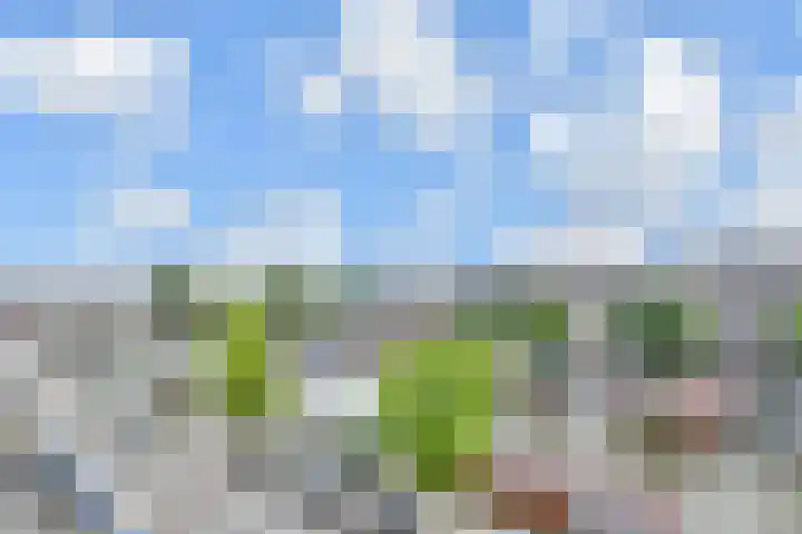 Veenendaalkade 95 Den Haag thumbnail 30