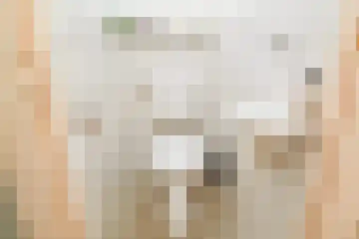 Veenendaalkade 95 Den Haag thumbnail 34