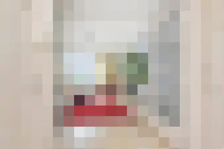Veenendaalkade 95 Den Haag thumbnail 5