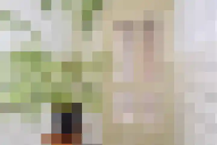 Veenendaalkade 95 Den Haag thumbnail 8