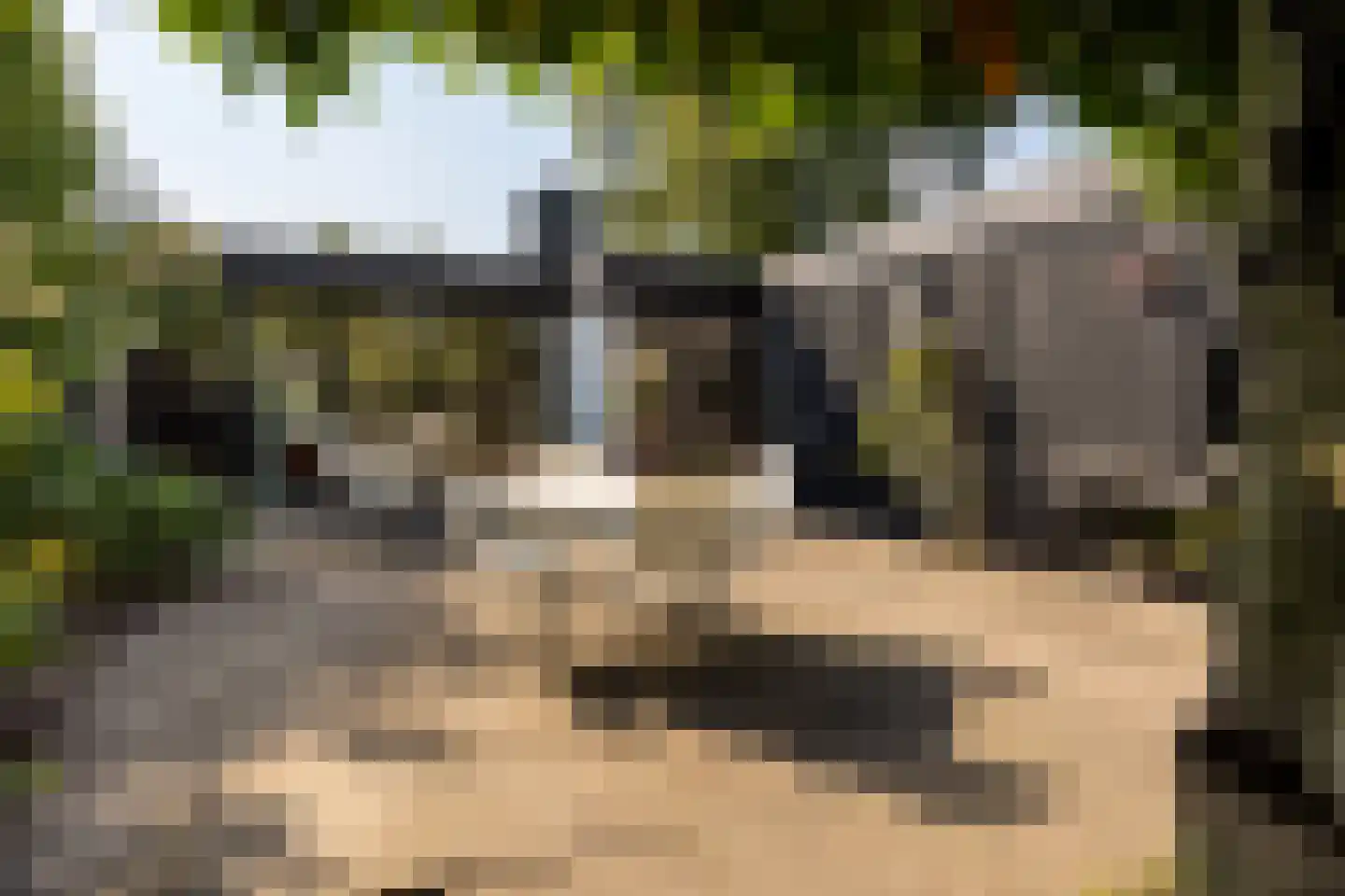 Veenendaalsestraatweg 10 A Elst Ut thumbnail 27