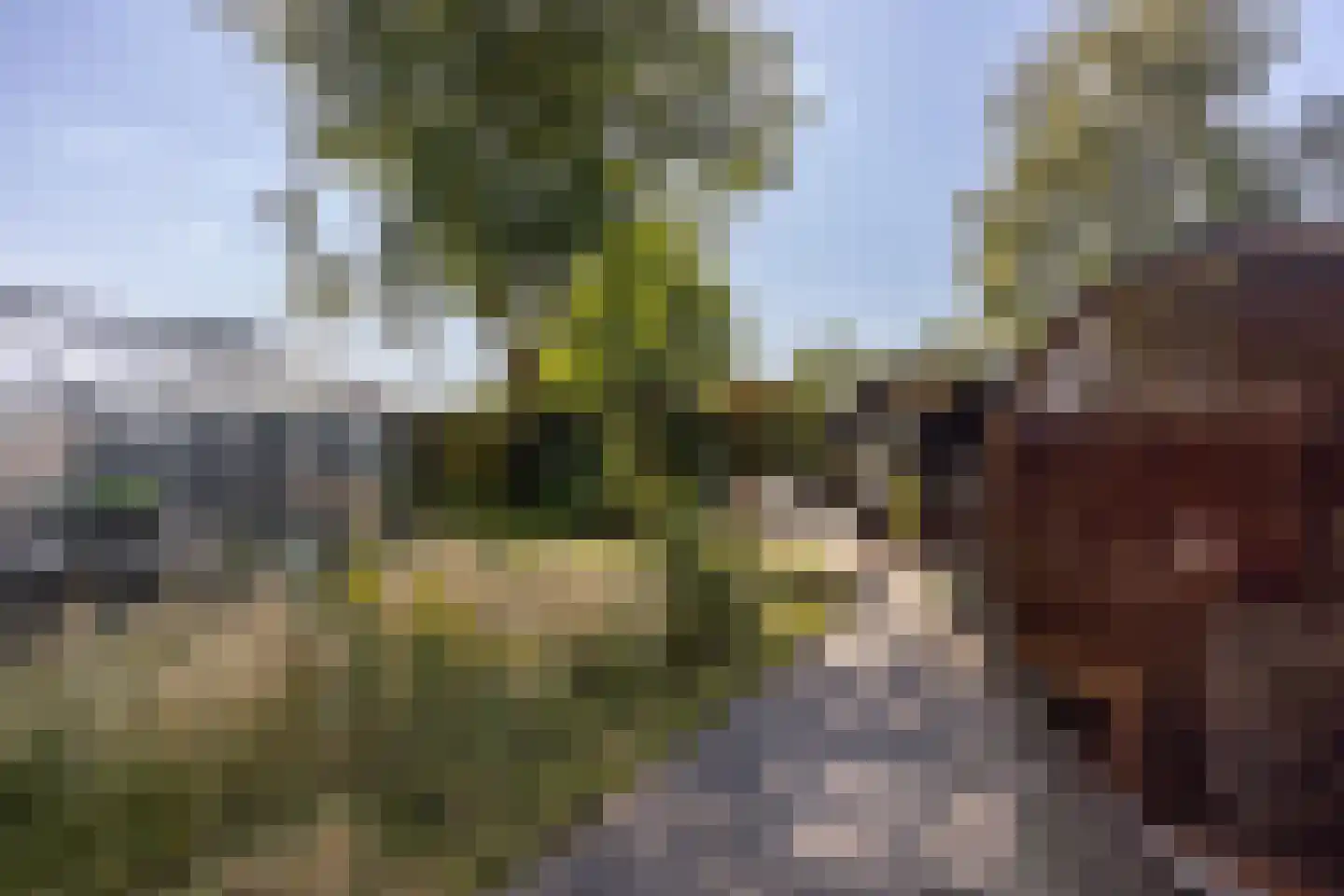 Veenendaalsestraatweg 10 A Elst Ut thumbnail 32