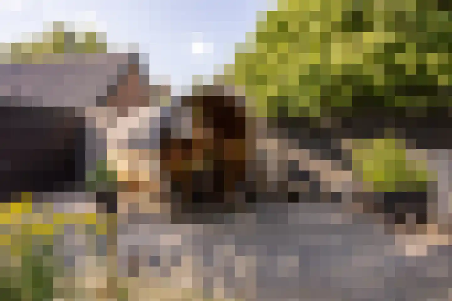 Veenendaalsestraatweg 10 A Elst Ut thumbnail 33