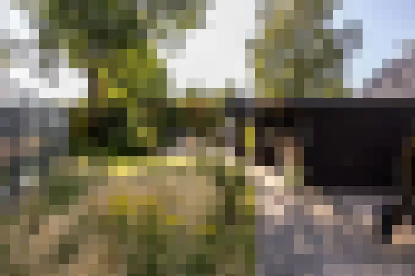 Veenendaalsestraatweg 10 A Elst Ut thumbnail 35