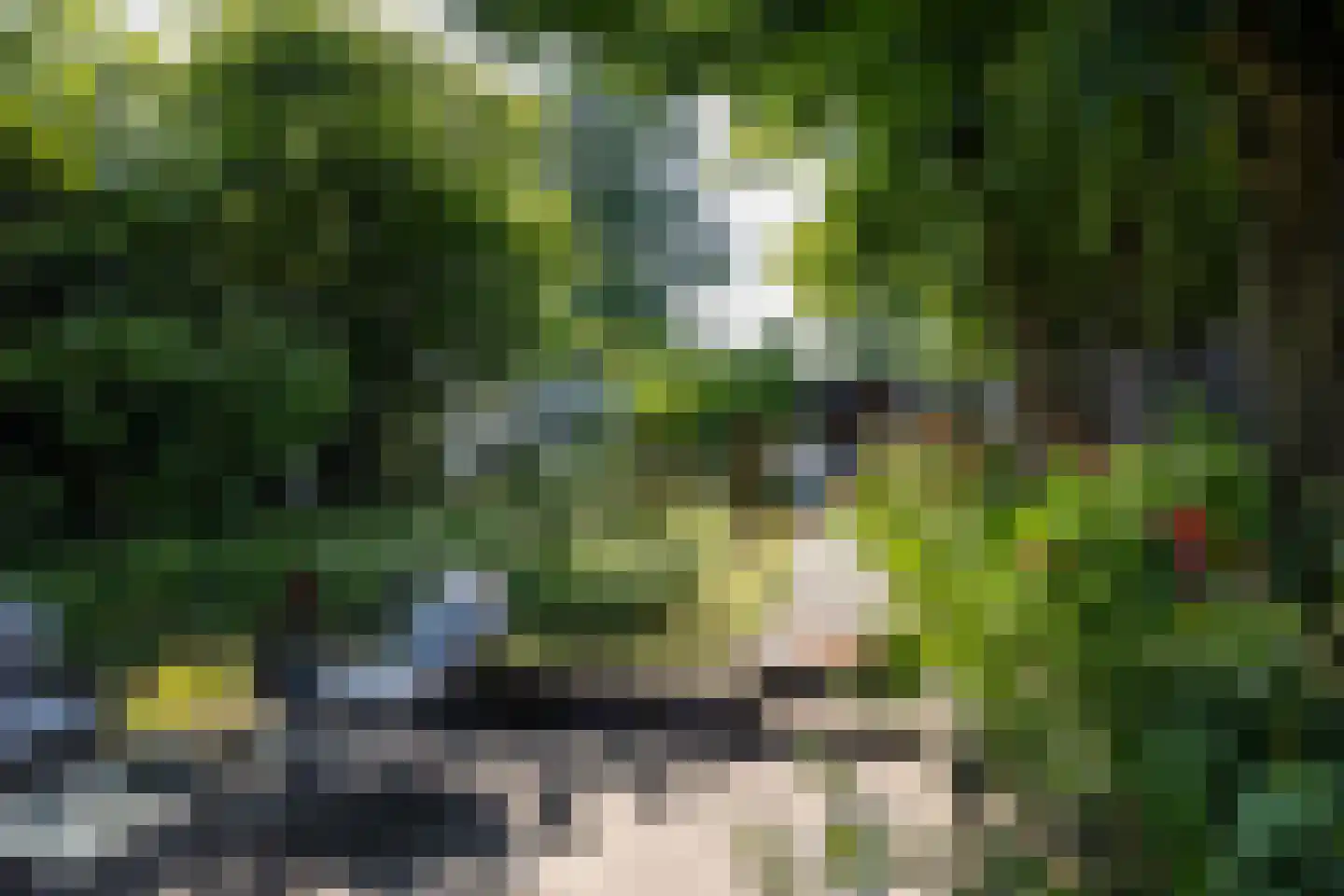 Veenendaalsestraatweg 10 A Elst Ut thumbnail 36