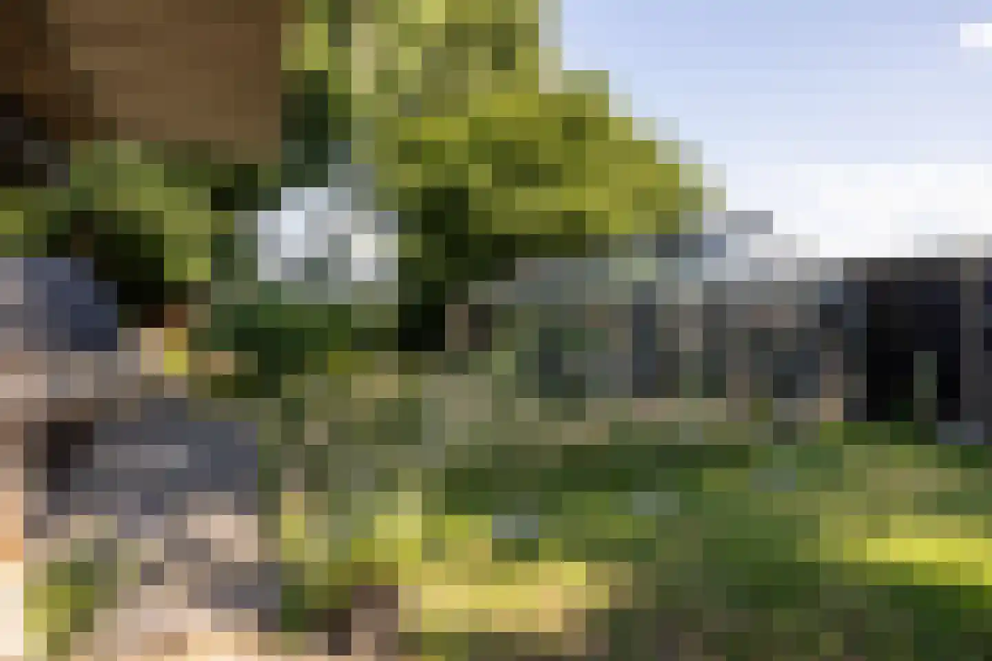 Veenendaalsestraatweg 10 A Elst Ut thumbnail 36
