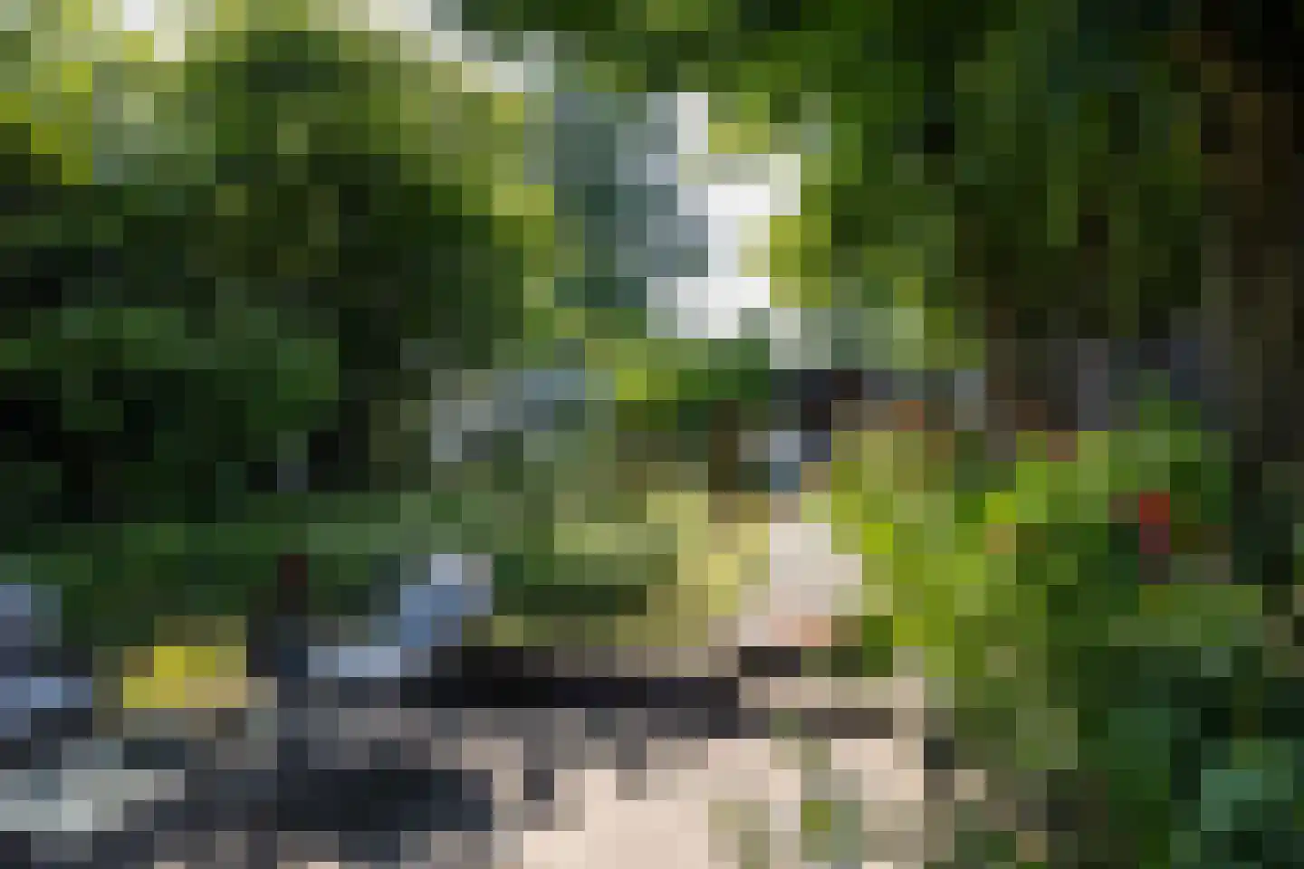 Veenendaalsestraatweg 10 A Elst Ut thumbnail 37