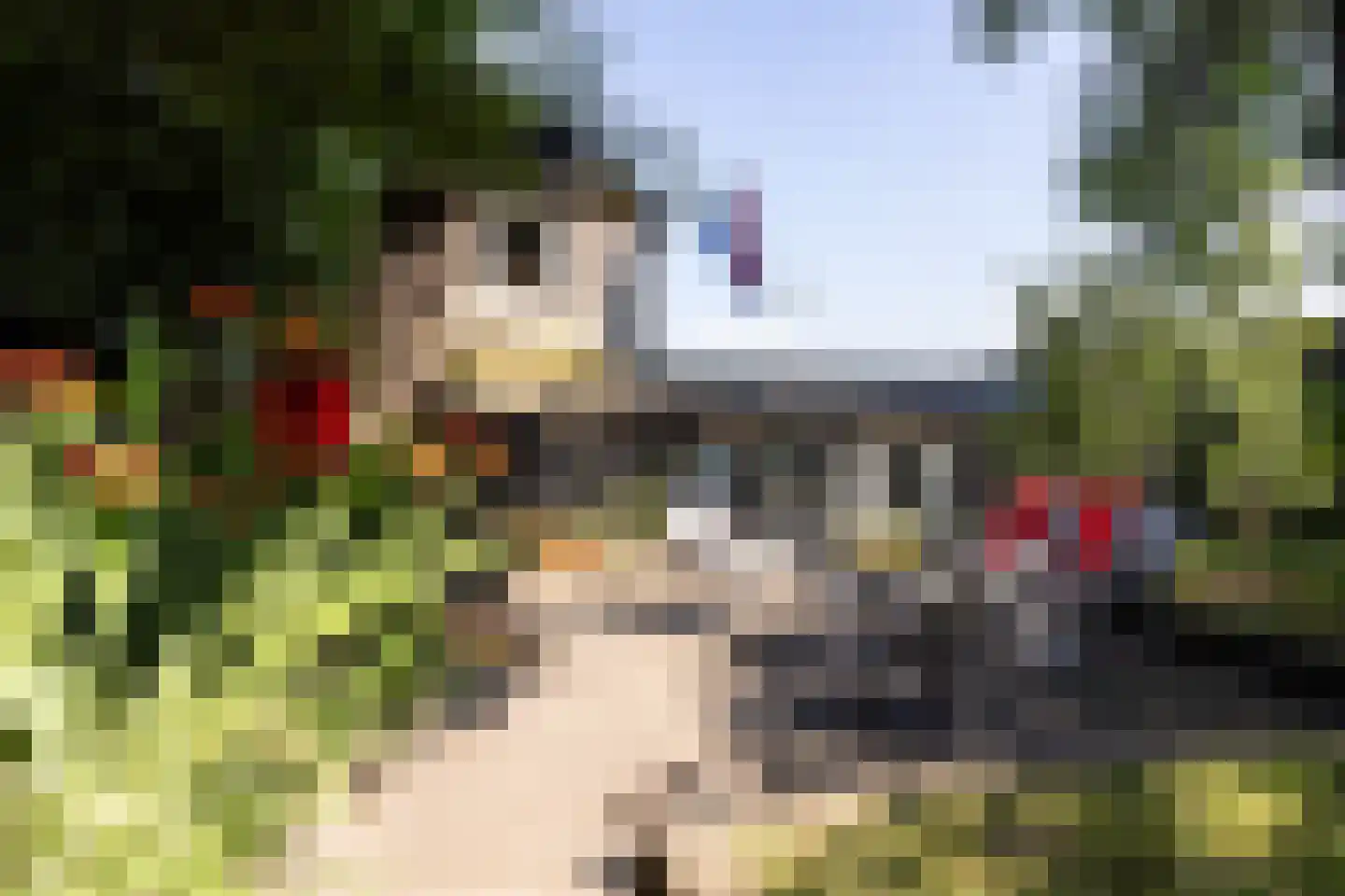 Veenendaalsestraatweg 10 A Elst Ut thumbnail 39