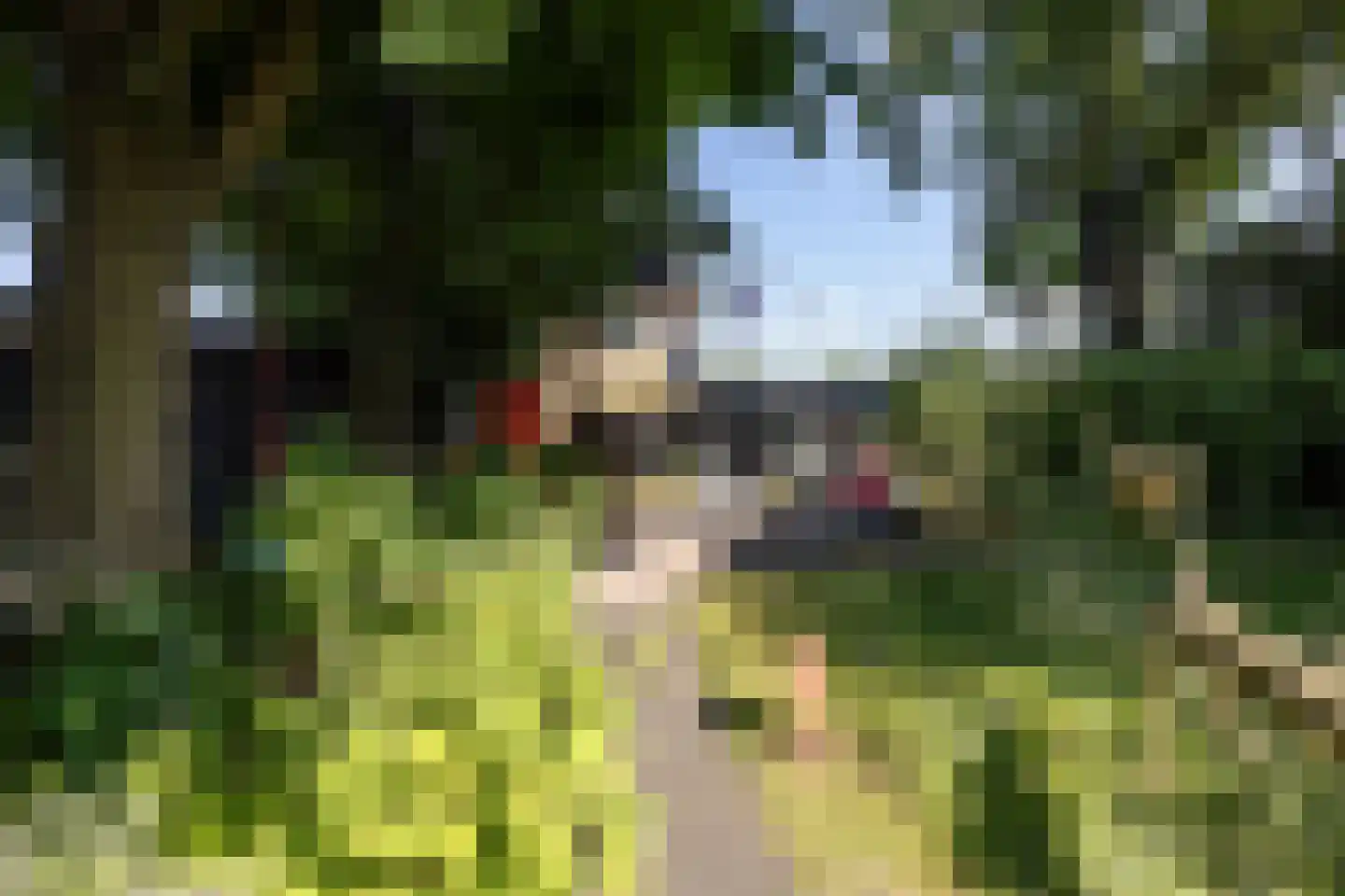 Veenendaalsestraatweg 10 A Elst Ut thumbnail 4