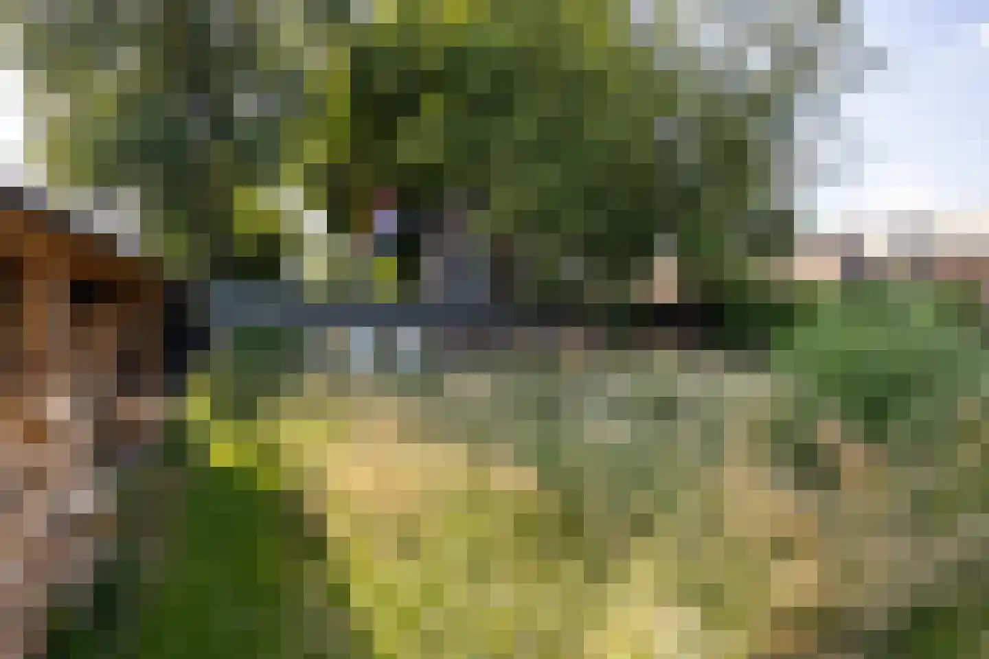 Veenendaalsestraatweg 10 A Elst Ut thumbnail 50