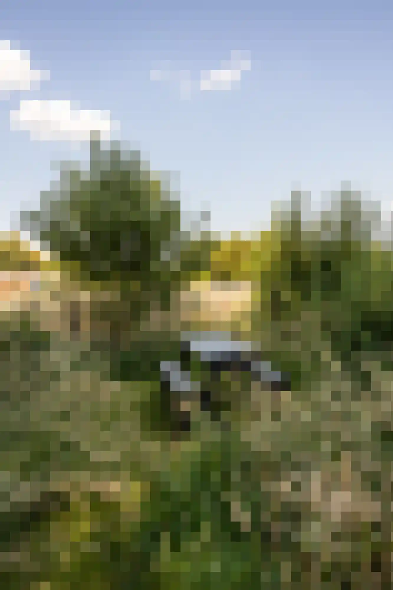 Veenendaalsestraatweg 10 A Elst Ut thumbnail 52
