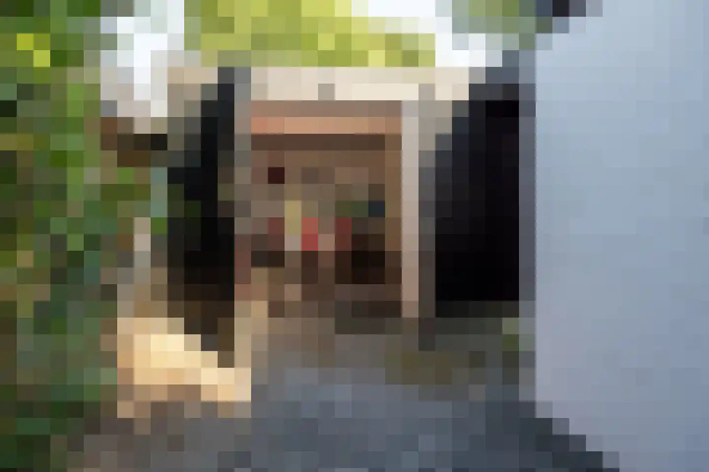 Veenendaalsestraatweg 10 A Elst Ut thumbnail 53