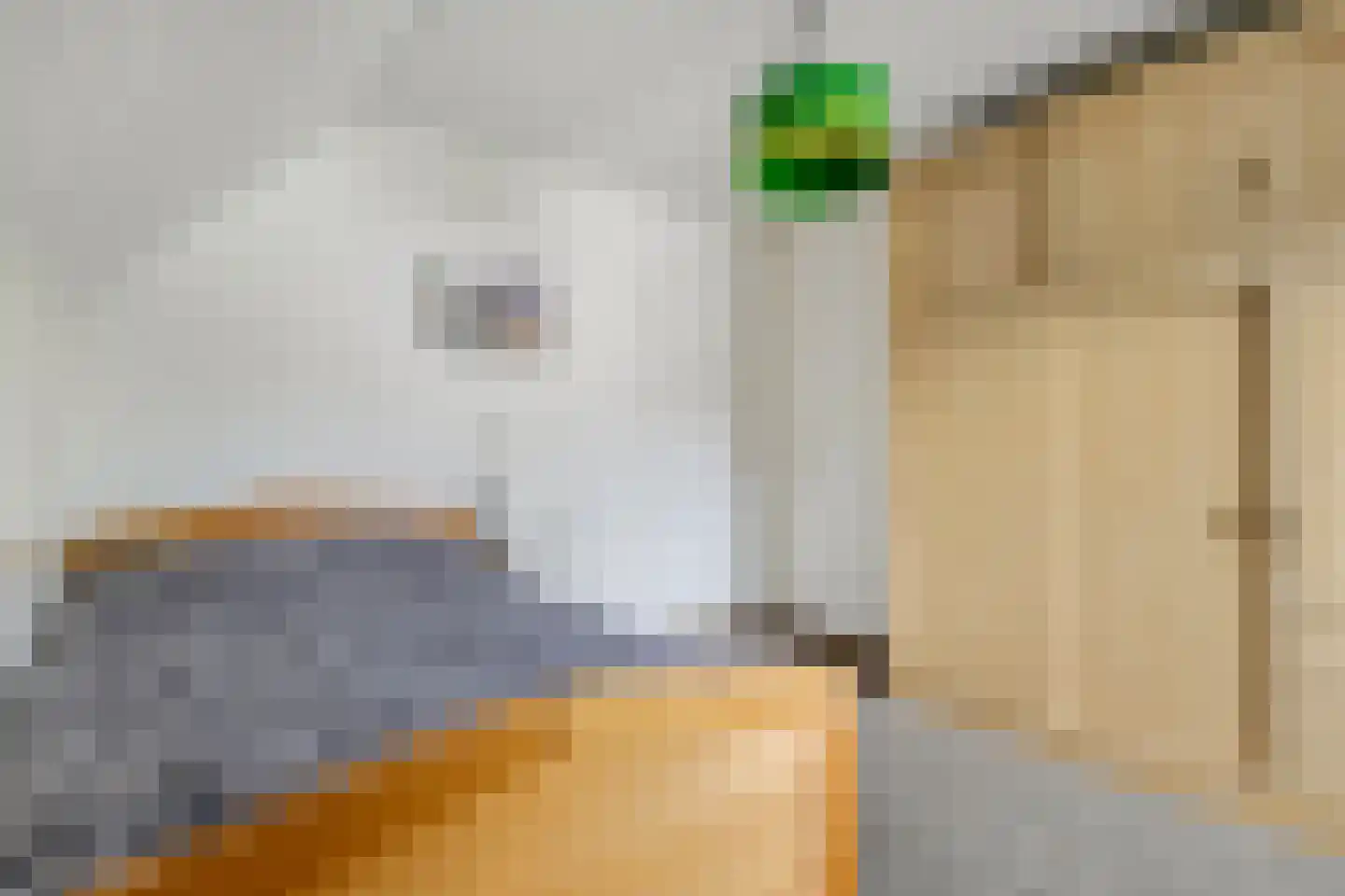 Veenendaalsestraatweg 11 Elst Ut thumbnail 21