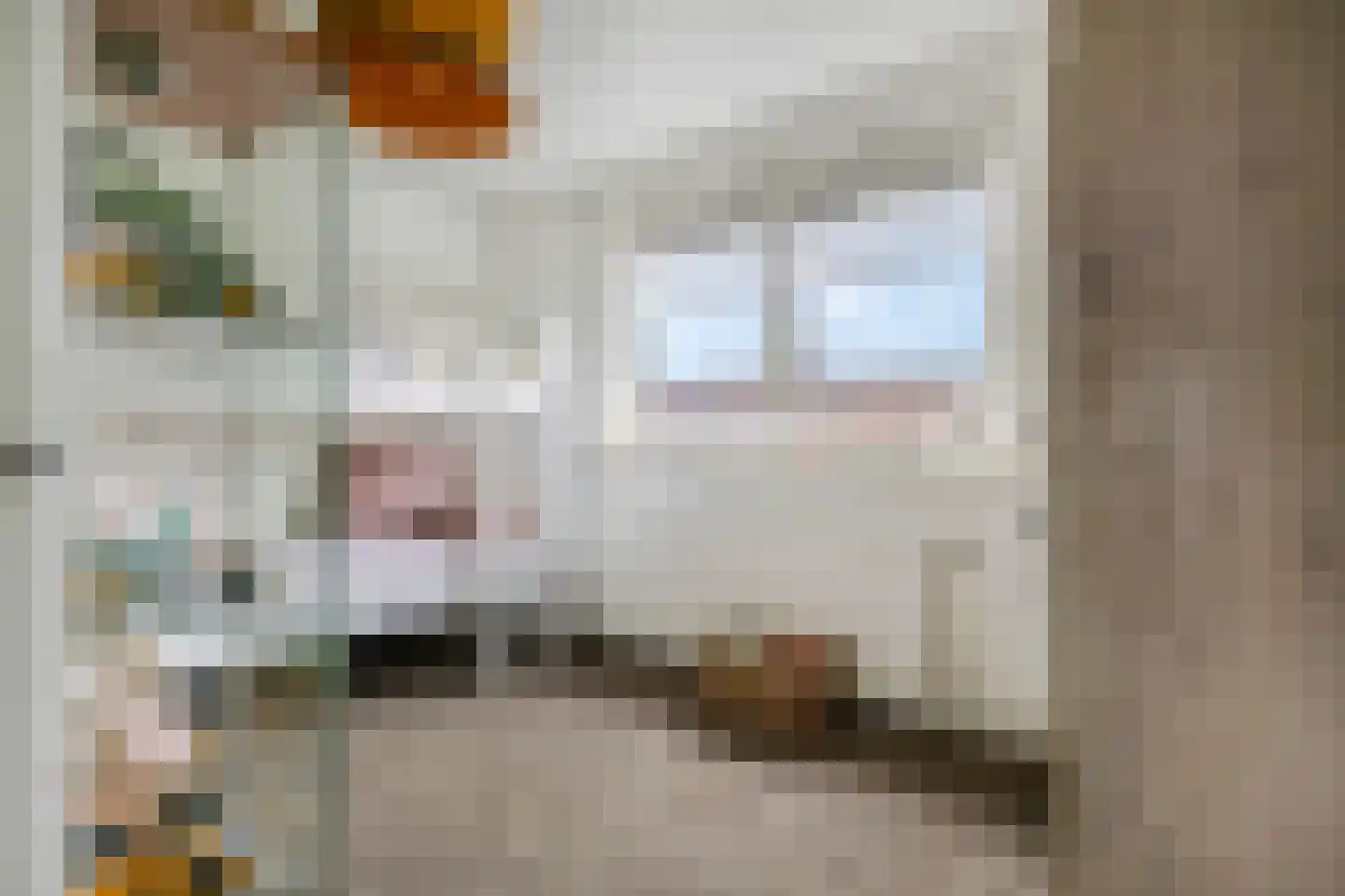 Veenendaalsestraatweg 11 Elst Ut thumbnail 22