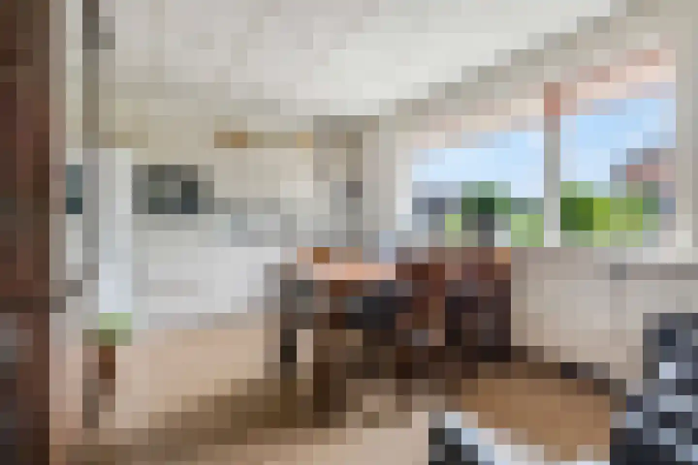 Veenendaalsestraatweg 11 Elst Ut thumbnail 38