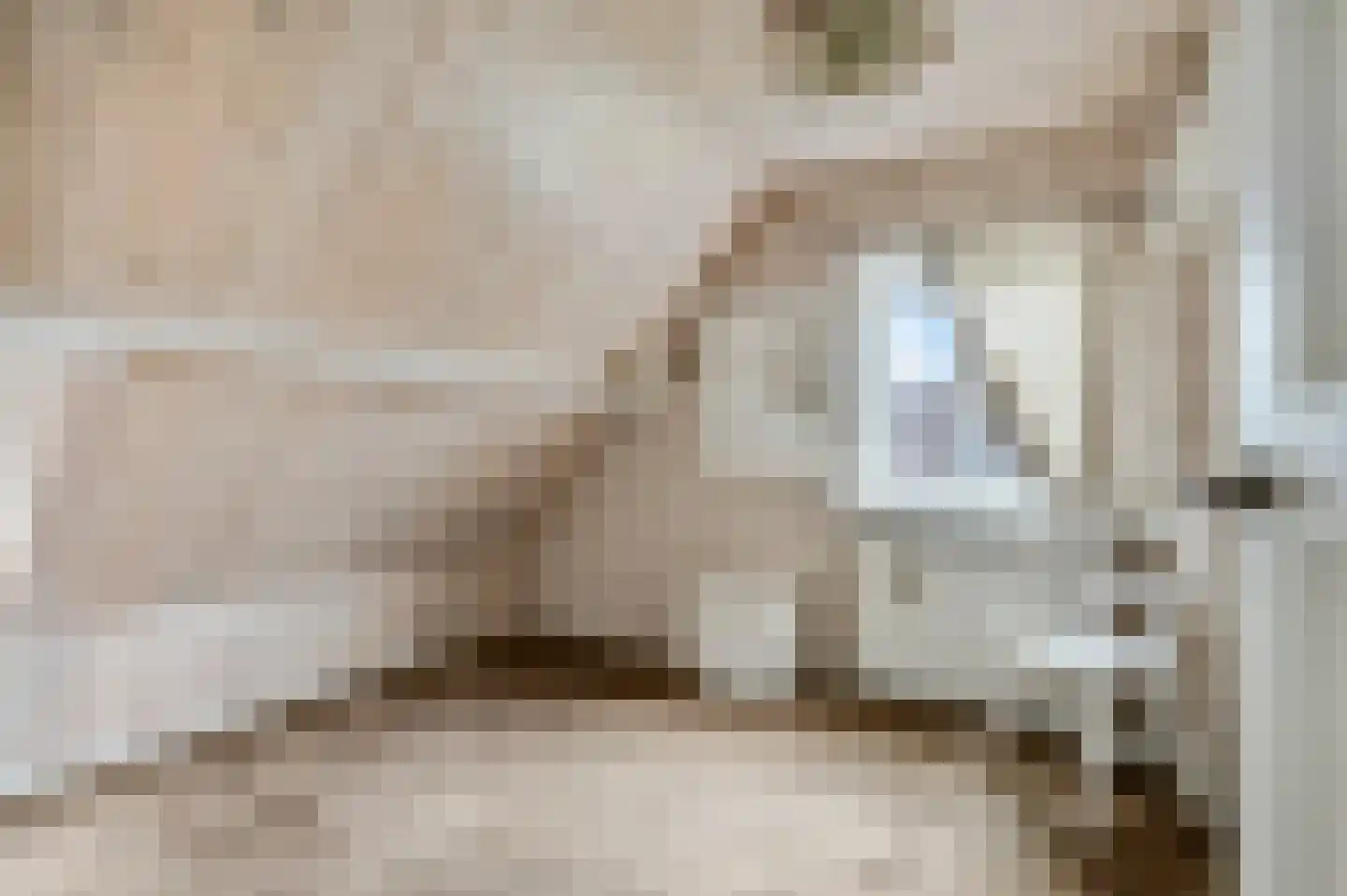 Veenendaalsestraatweg 15 A Elst Ut thumbnail 18